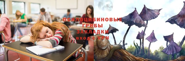 тгк Бугульма