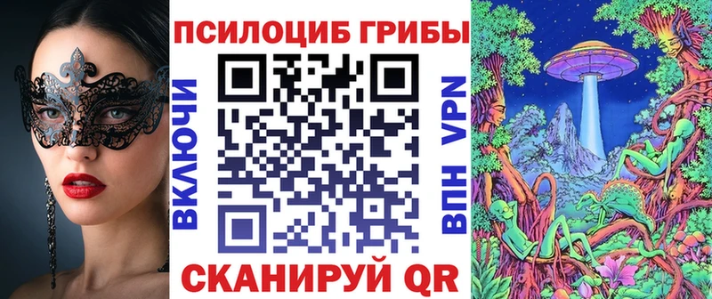 Псилоцибиновые грибы Psilocybe  ОМГ ОМГ ссылка  Велиж 